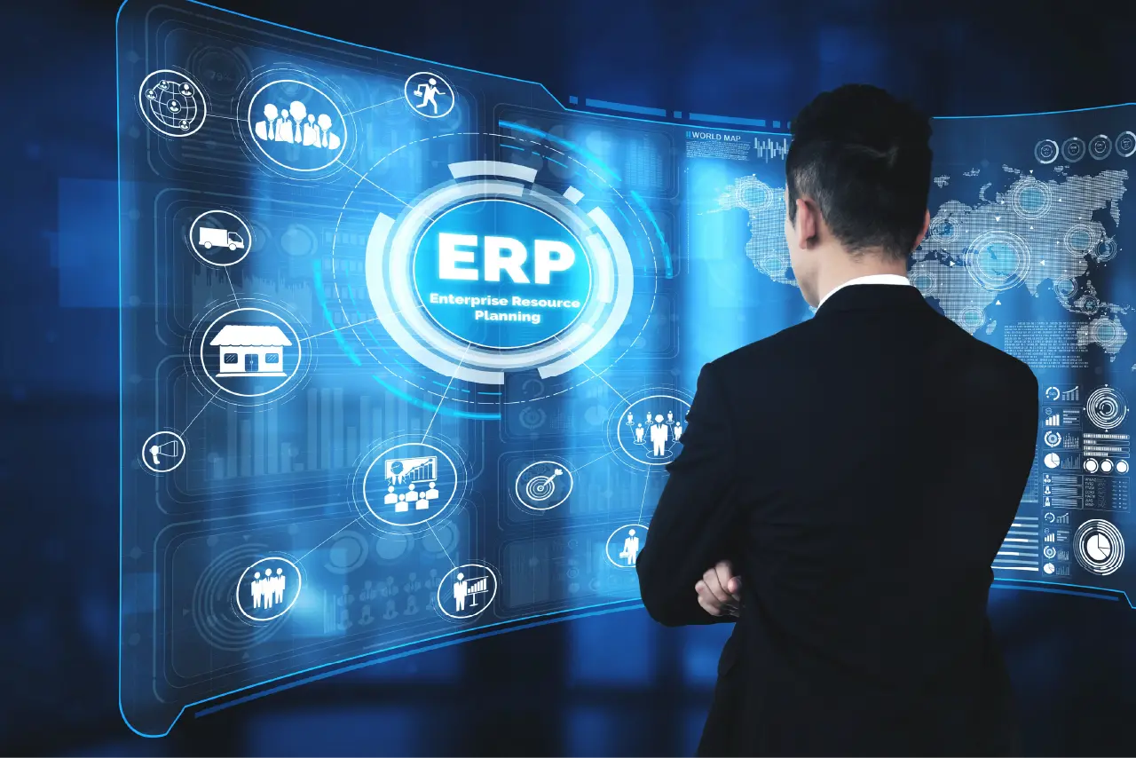 erp consultant