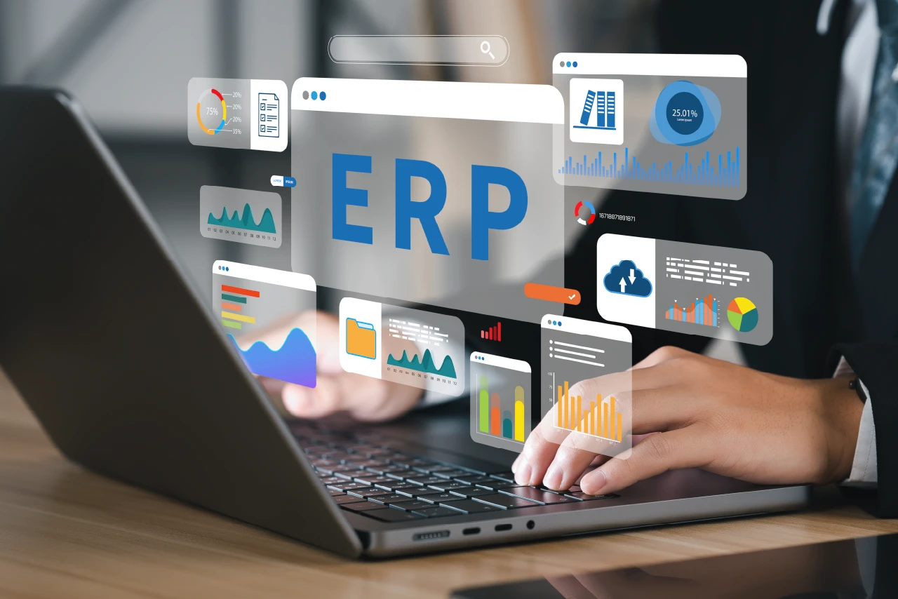 erp implementation partner body